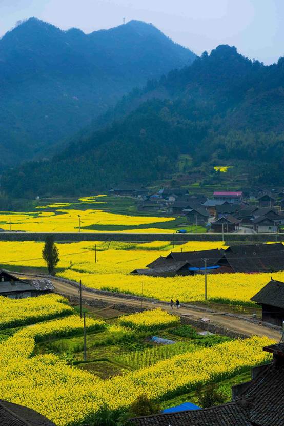 湖南森福木業(yè)有限公司,木結(jié)構(gòu)別墅建造及制作,木涼亭建造及制作,木棧道建造及制作 湖南森福木業(yè)有限公司,木結(jié)構(gòu)別墅建造及制作,木涼亭建造及制作,木棧道建造及制作